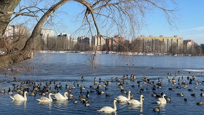 Зима у Сумах, січень 2026 року
