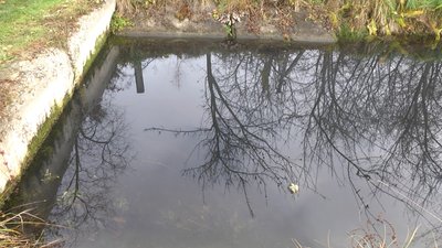 У Хмельницькому виявили несанкціоновані скидання відходів
