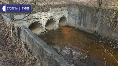 "Не вистачає води". В озері на Сумщині вимирає риба