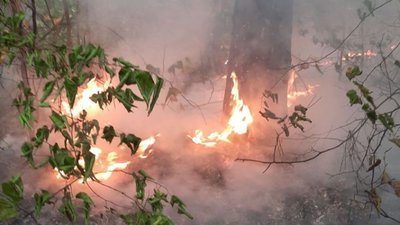 За минулу добу на острові Хортиця сталося дві пожежі