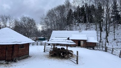 Шевченківський гай Шевченківський гай