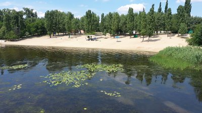 Червоний попереджувальний прапор: на Придніпровському пляжі у воді виявили кишкову паличку