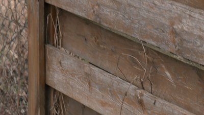Радомишль, Суд, вбивство, Діти, Житомирщина Радомишль, Суд, вбивство, Діти, Житомирщина