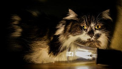Де вимикатимуть світло на Миколаївщині 5 липня