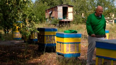 День пасічника: історія бджоляра Олексія Горбунова з Вінниччини