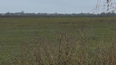 На Полтавщині громадам передають державні землі у комунальну власність На Полтавщині громадам передають державні землі у комунальну власність