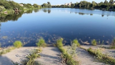 гине риба Борщагівська громада