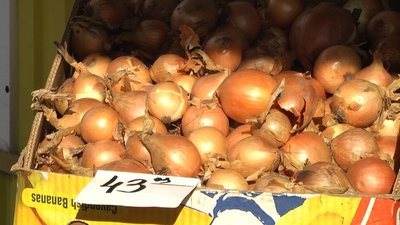 Ріст цін на продукти: експерти розповіли, чому на ринках Житомирщини подорожчала цибуля Ріст цін на продукти: експерти розповіли, чому на ринках Житомирщини подорожчала цибуля