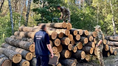 Прокуратура та ДБР в лісгоспі на Харківщині