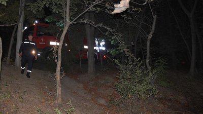 В Одесі поблизу пляжу спалахнула пожежа