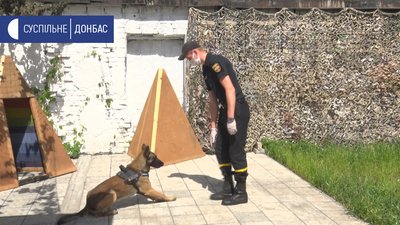 На Луганщині після карантину службові собаки повернулись до кінологічного центру