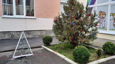З різних матеріалів усіх кольорів. Які ялинки встановили кропивничани у себе вдома замість живих З різних матеріалів усіх кольорів. Які ялинки встановили кропивничани у себе вдома замість живих