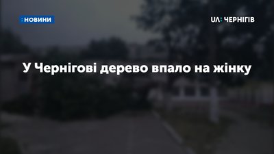 У Чернігові дерево впало на жінку, її госпіталізували
