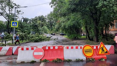 Знеструмлення, підтоплення та повалені дерева. Наслідки негоди у Львові Знеструмлення, підтоплення та повалені дерева. Наслідки негоди у Львові