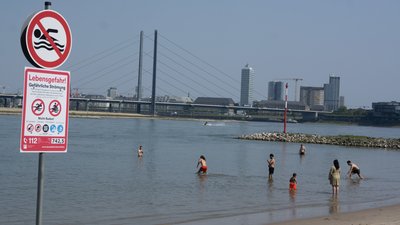 деякі міста Німеччини офіційно заборонили купатися в Рейні