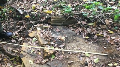 На Вінниччині працівник лісгоспу причетний до нелегальної вирубки дерев На Вінниччині працівник лісгоспу причетний до нелегальної вирубки дерев