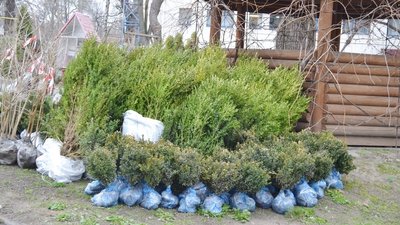Дубами і калинами з Черкащини озеленюватимуть прифронтову Авдіївку Дубами і калинами з Черкащини озеленюватимуть прифронтову Авдіївку