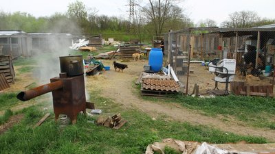 "Спочатку помру я, а потім 750 тварин": один з притулків Дніпропетровщини на межі закриття "Спочатку помру я, а потім 750 тварин": один з притулків Дніпропетровщини на межі закриття