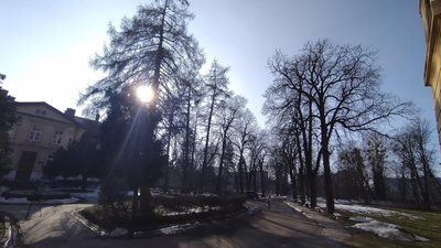 Львівський парк пропонують визнати природоохоронною зоною