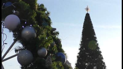Запоріжцям розповіли як святкувати Рік Щура