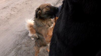 Переселенка з Бахмута живе на Черкащині Переселенка з Бахмута живе на Черкащині