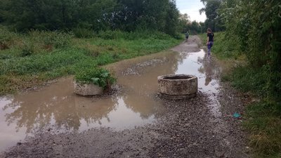 Гроза в Івано-Франківську: підтоплені вулиці та повалені дерева Гроза в Івано-Франківську: підтоплені вулиці та повалені дерева