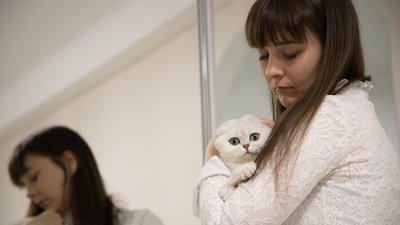 Американський чемпіон родом із Запоріжжя Американський чемпіон родом із Запоріжжя