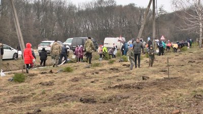 На толоку до Олешина, що у передмісті Хмельницького, зійшлося та з'їхалося понад сотня чоловік. Фото: Суспільне. Поділля. На толоку до Олешина, що у передмісті Хмельницького, зійшлося та з'їхалося понад сотня чоловік. Фото: Суспільне. Поділля.