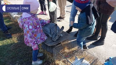 Понад 50 виробників представили свою продукцію на ярмарку "Золота осінь" у Сумах Понад 50 виробників представили свою продукцію на ярмарку "Золота осінь" у Сумах
