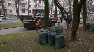 Компостування листя Компостування листя