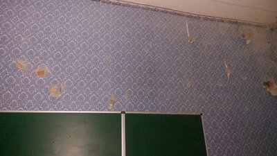 "Ми свій ліцей в обіду не дамо": як на Сумщині відновлюють Угроїдський навчальний заклад "Ми свій ліцей в обіду не дамо": як на Сумщині відновлюють Угроїдський навчальний заклад