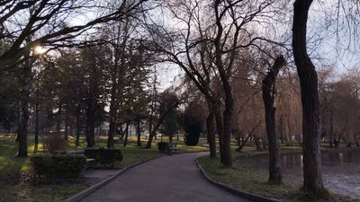 Погода на Рівненщині