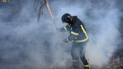 В Одесі горіли поля зрошення, вогонь охопив 2 000 метрів В Одесі горіли поля зрошення, вогонь охопив 2 000 метрів