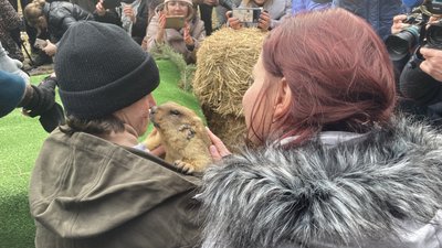Бабак Тимко на руках у доглядача Володимира Ронкіна, Харківська область