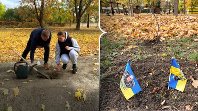 У Полтаві висадили дубову алею в пам'ять про полеглих захисників України