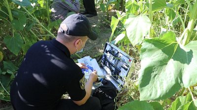 Чоловіка, якого підозрюють у вбивстві 7-річного сина у соняшниковому полі, визнали неосудним Чоловіка, якого підозрюють у вбивстві 7-річного сина у соняшниковому полі, визнали неосудним