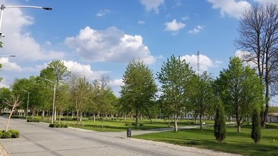 У Новомиргороді міський парк обладнали WiFi