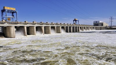 Літні задухи риби в миколаївських водоймах. Як запобігти наслідкам