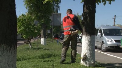 Фахівчиня: на Черкащині поменшало тимчасової роботи