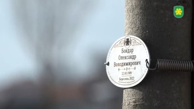 новина новина