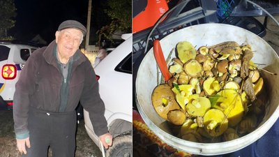 Знайшли дідуся, який заблукав в лісі