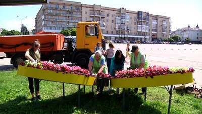 В Житомирі у "метелику" на майдані Соборному висадили близько 700 рослин В Житомирі у "метелику" на майдані Соборному висадили близько 700 рослин