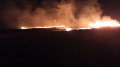 Виїзд обходиться у 20 тисяч. Прикарпатські рятувальники за вихідні загасили 150 пожеж сухостою Виїзд обходиться у 20 тисяч. Прикарпатські рятувальники за вихідні загасили 150 пожеж сухостою