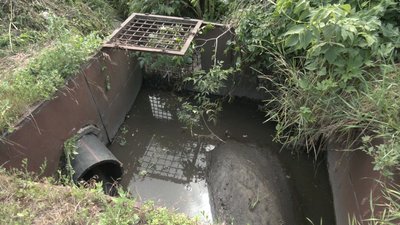 Трава забила зливові решітки: комунальники назвали причину потопу під мостом у Прилуках
