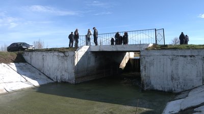 Зникає течія, місцями пересихає: як врятувати річку Остер
