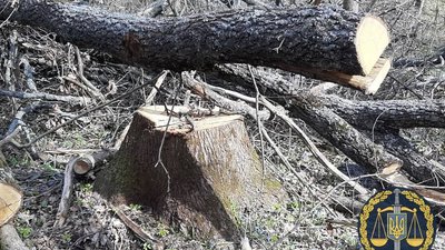 "Кришування" вирубки лісів на Харківщині поліцейськими: з'явилися нові підозрювані "Кришування" вирубки лісів на Харківщині поліцейськими: з'явилися нові підозрювані