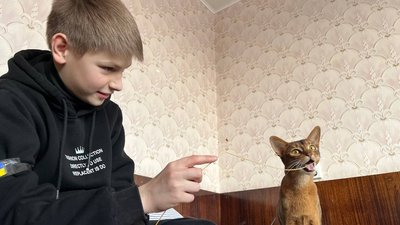 сюжет сюжет