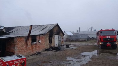 Пожежа ферми на Чернігівщині: врятували 30 тварин та майже півсотні птахів