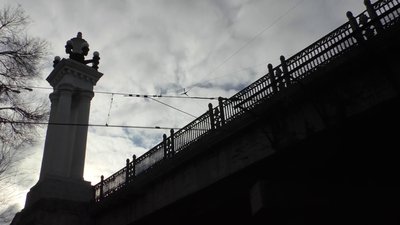 У Запоріжжі чоловікові, що скинув собаку із мосту, повідомлено про підозру