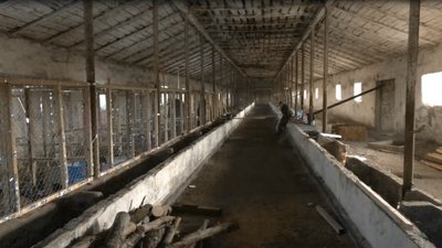 В селі на Кіровоградщині відкрили притулок для тварин В селі на Кіровоградщині відкрили притулок для тварин